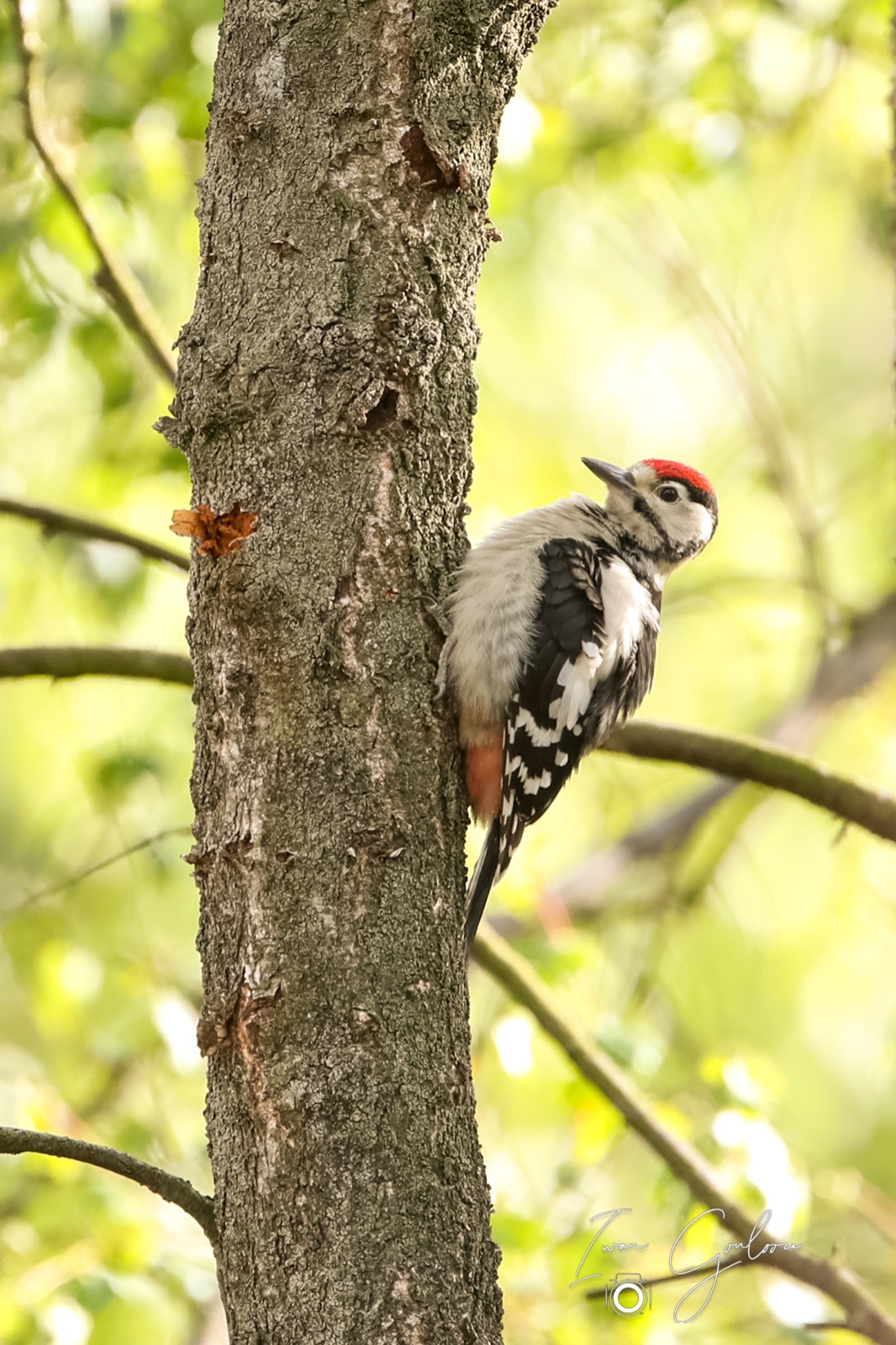 12 juni 2022 183534 1DX47295